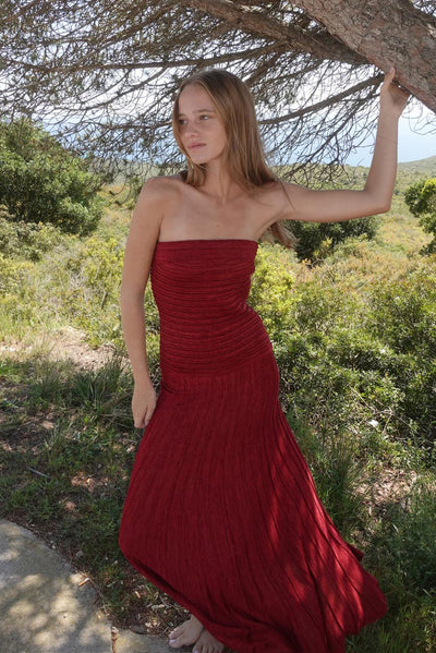Ariel Wine Dress